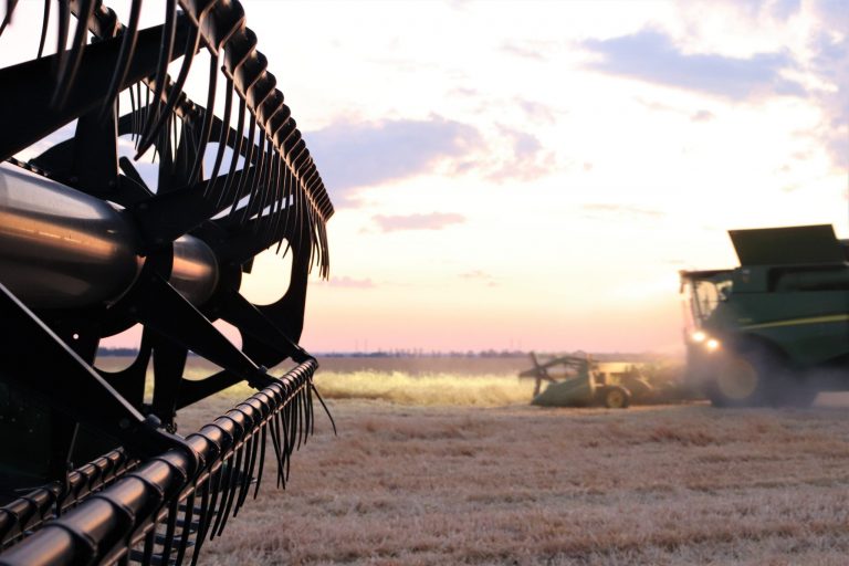 barley harvest QLD