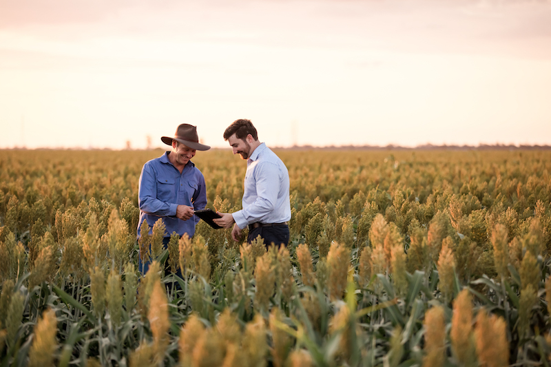 Dan in Farmer Stuart's barley crop